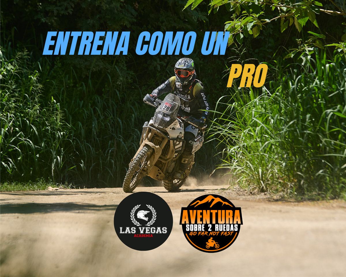 Entrena como un PRO
